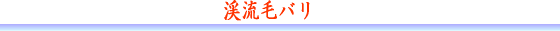 渓流毛バリ